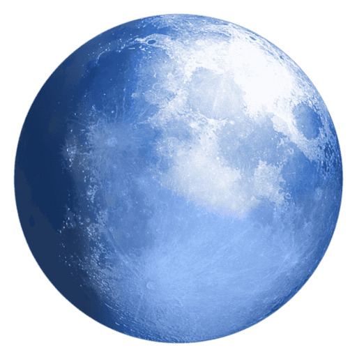 Pale Moon Web Browser