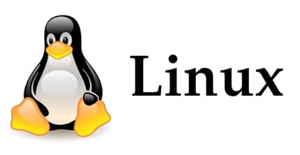 Linux Kernel
