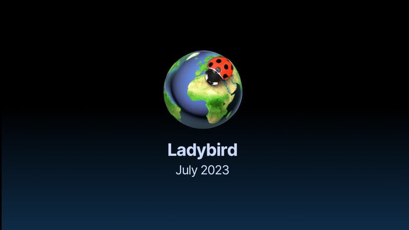 Ladybird Web Browser